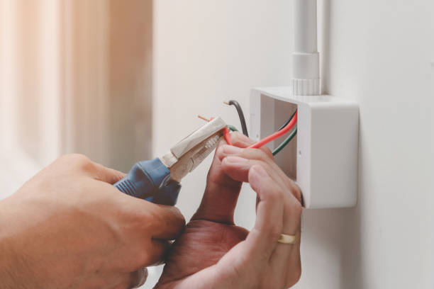 Best Electrical Panel Upgrades  in Bushyhead, OK